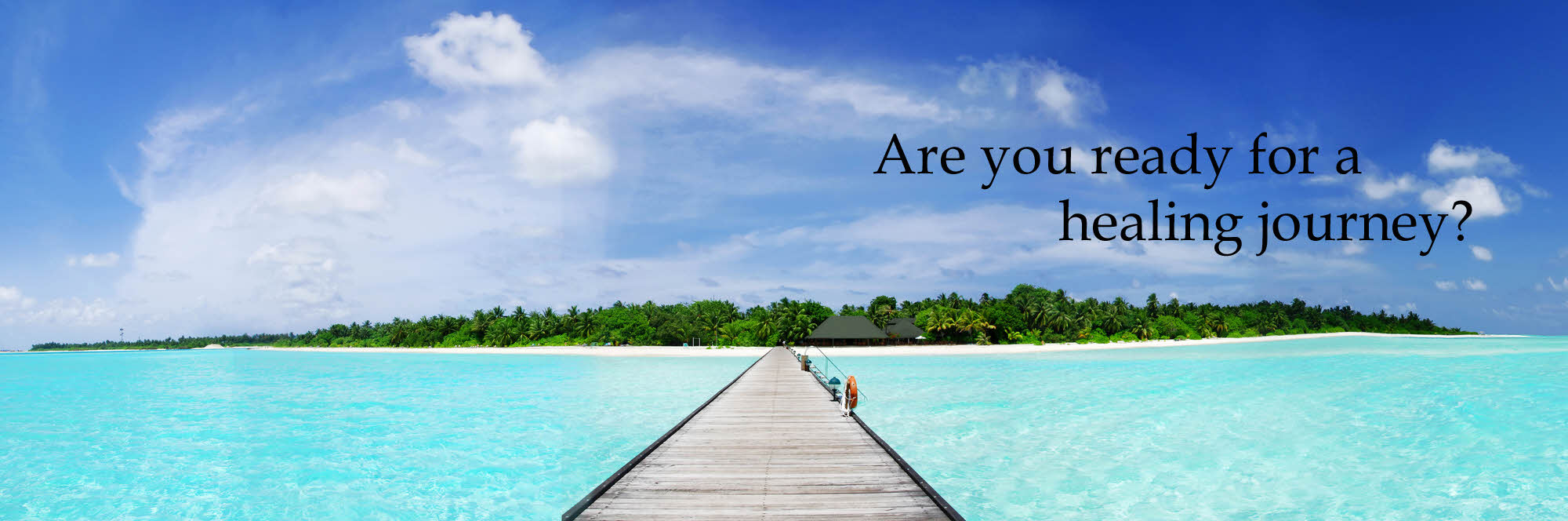 web banner final